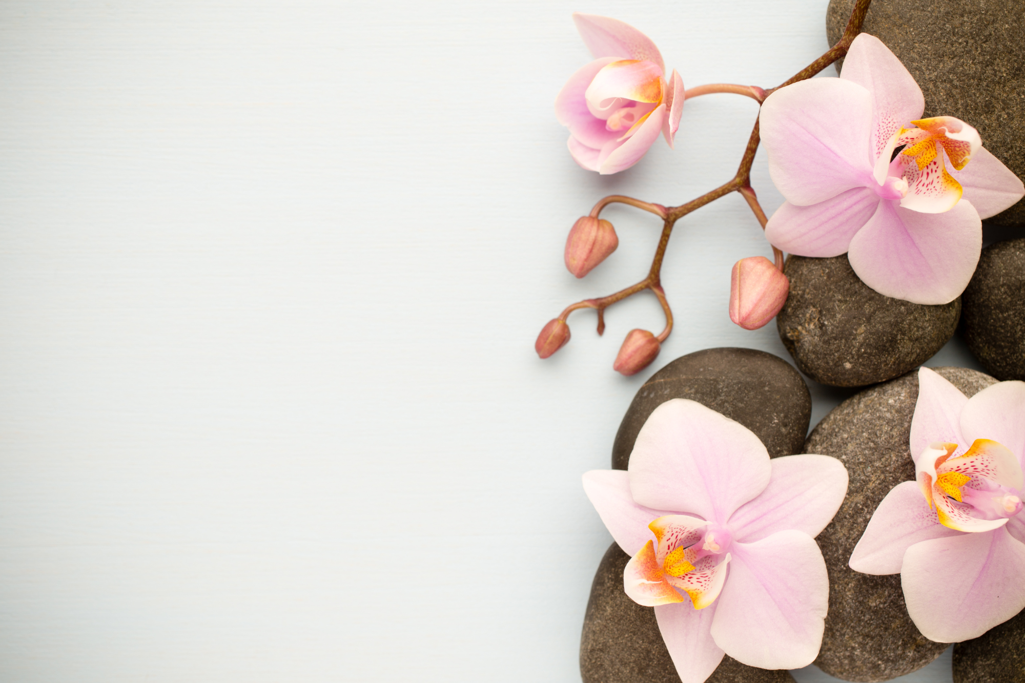 Miss Q website Photos (3)